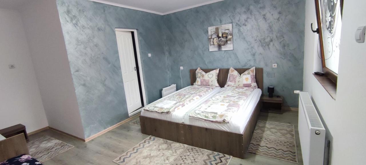 Panoráma Vendégház Lupeni  Extérieur photo